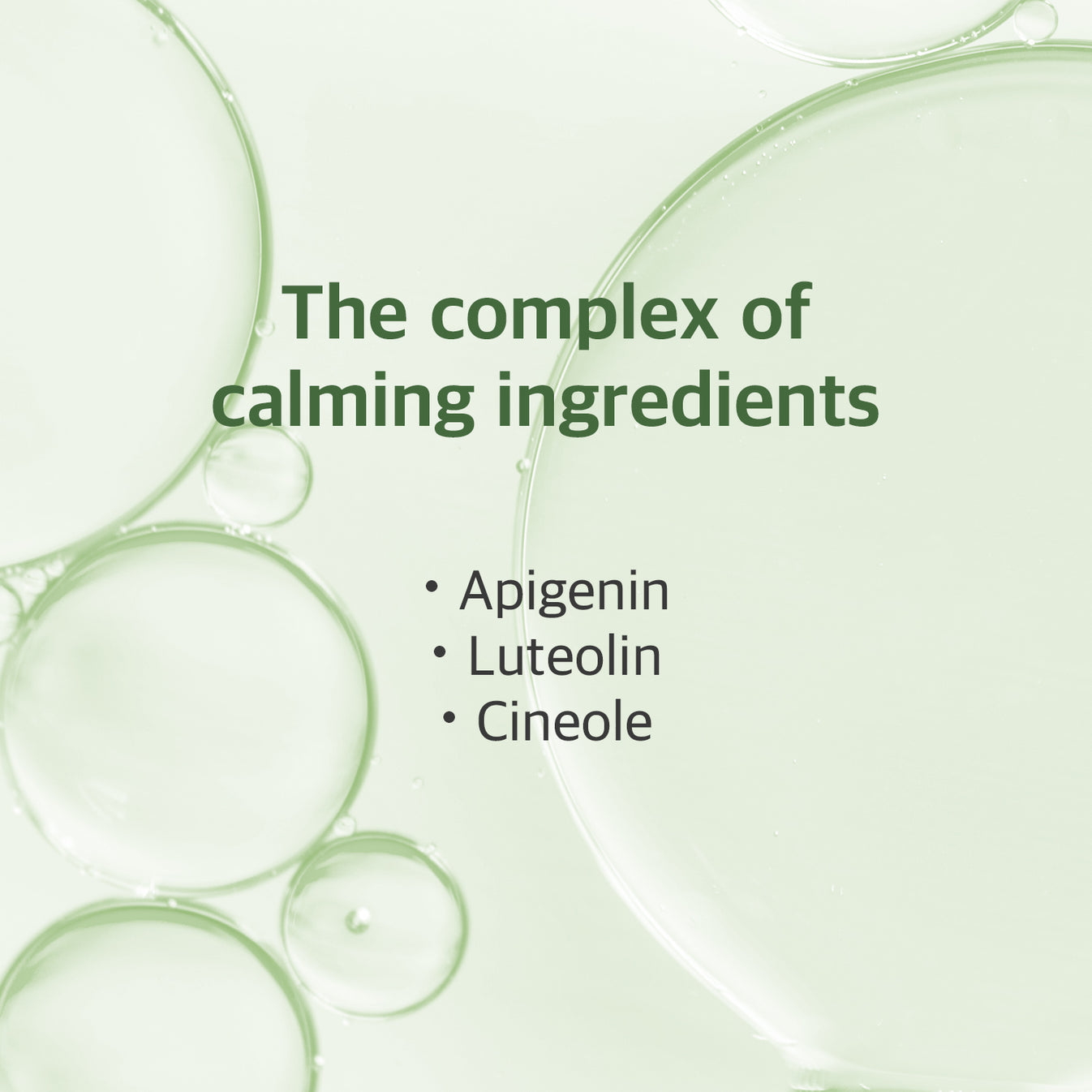 Round Lab - (Renewal) Mugwort Calming Mask [1ea]