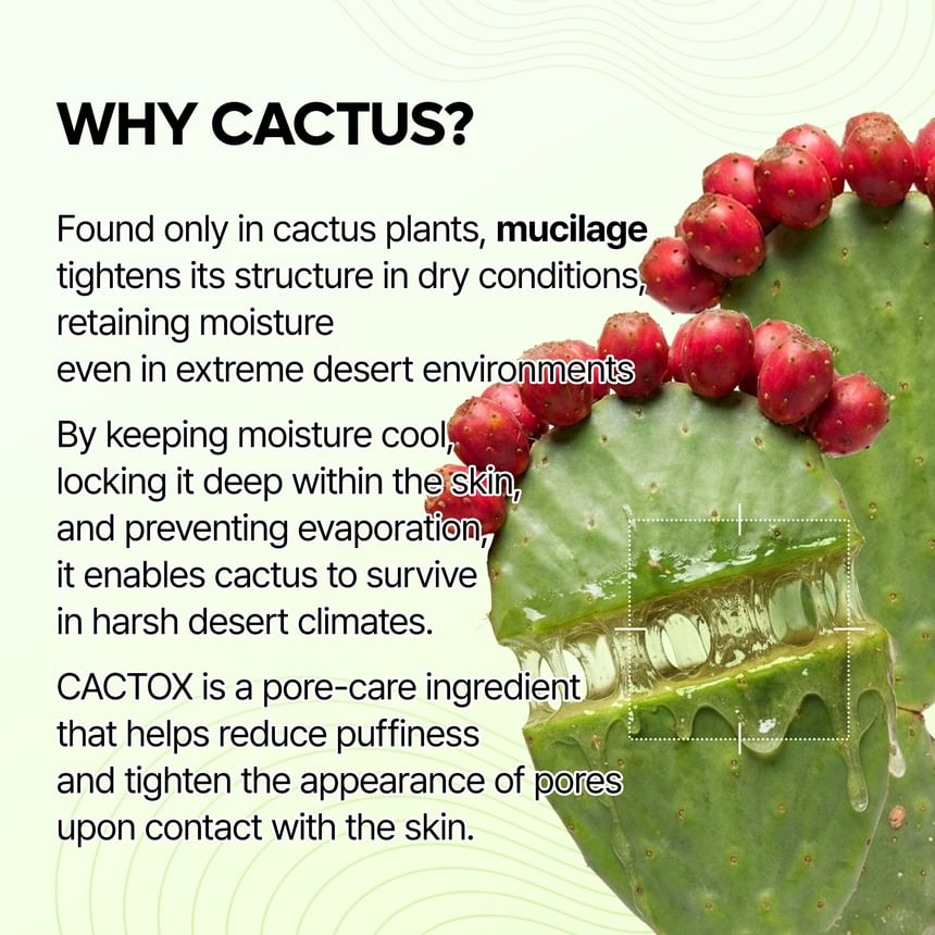 Dr.Melaxin - Cactox Pore Relief Jelly Serum Mist [80ml]