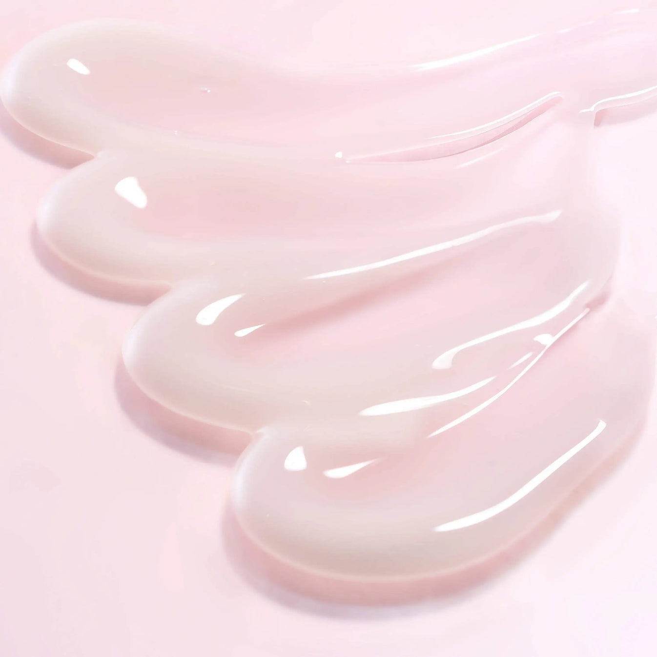 Round Lab - Camellia Deep Collagen Firming Cream [50ml]