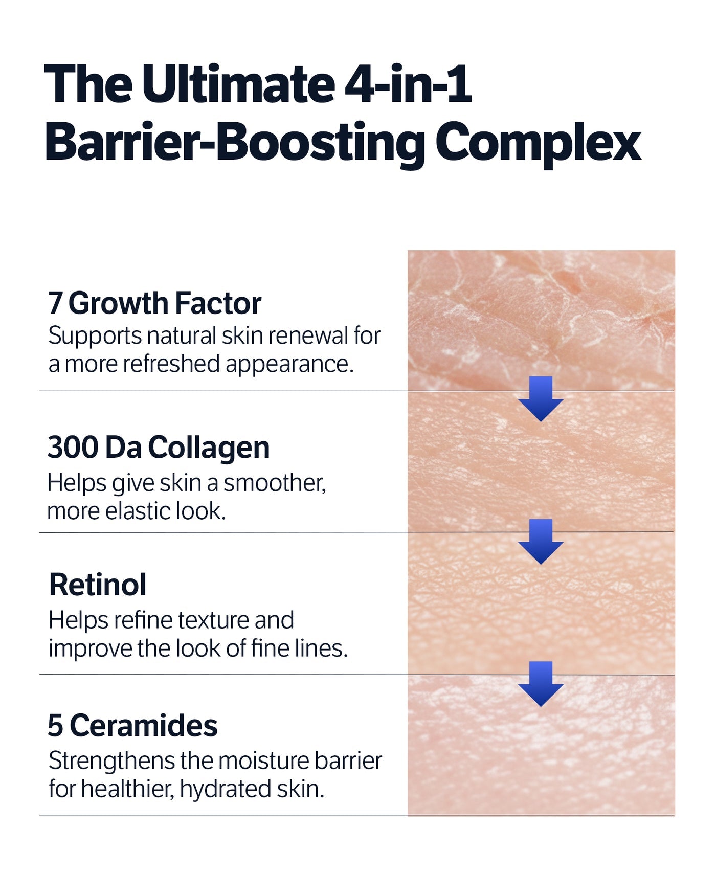 Sungboon Editor - Deep Collagen 7GF Ceramide Advanced Barrier Night Cream [50ml]