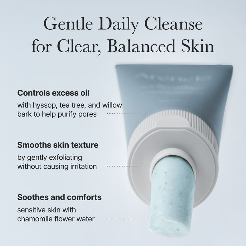 Arencia - Hyssop Sebum Control Rice Cake Cleanser [150g]