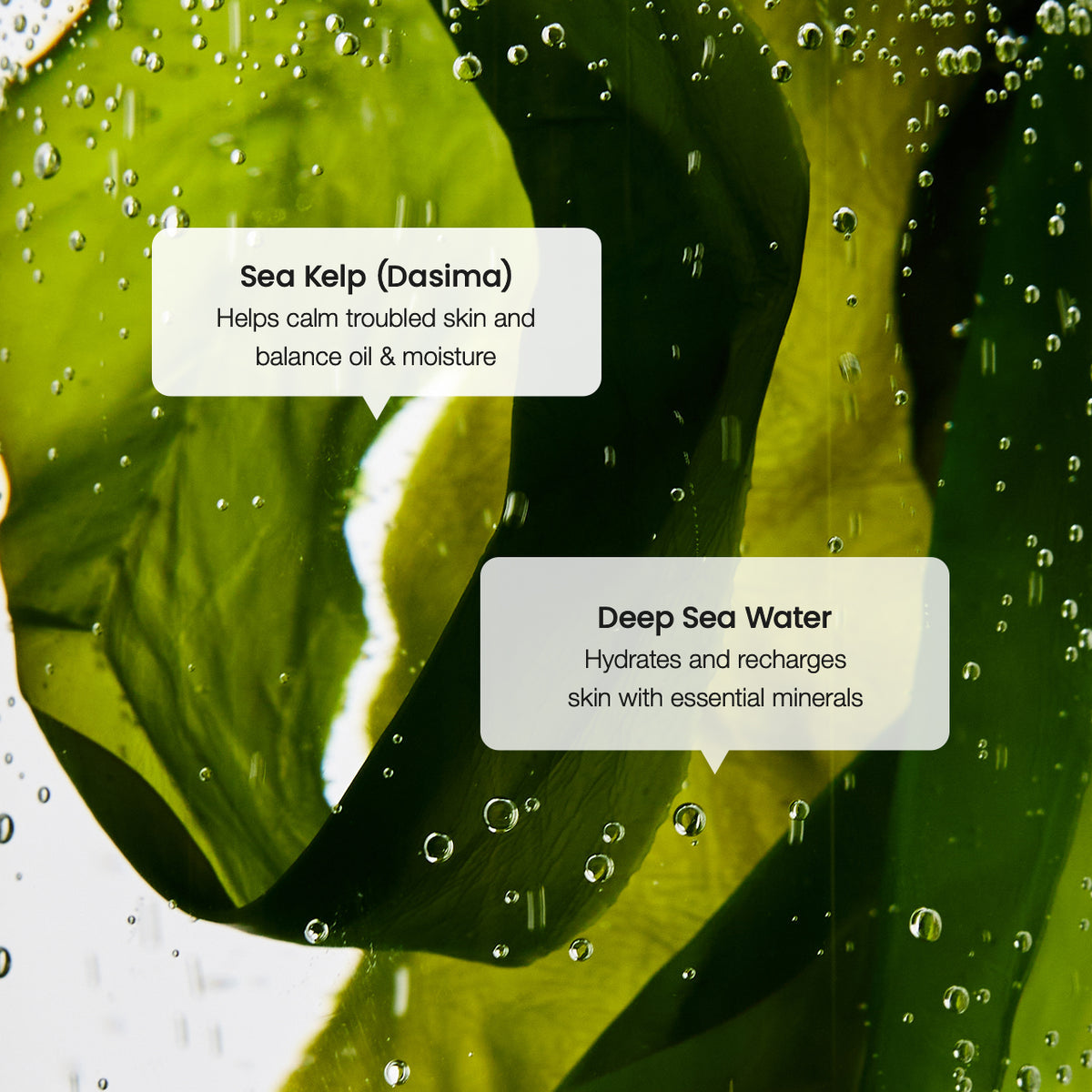 Biodance - Refreshing Sea Kelp Serum [30ml]