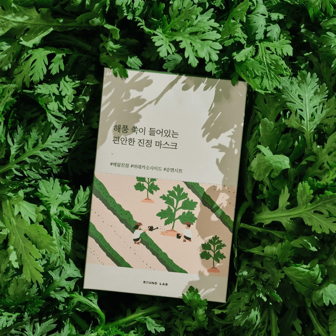 Round Lab - (Renewal) Mugwort Calming Mask [1ea]