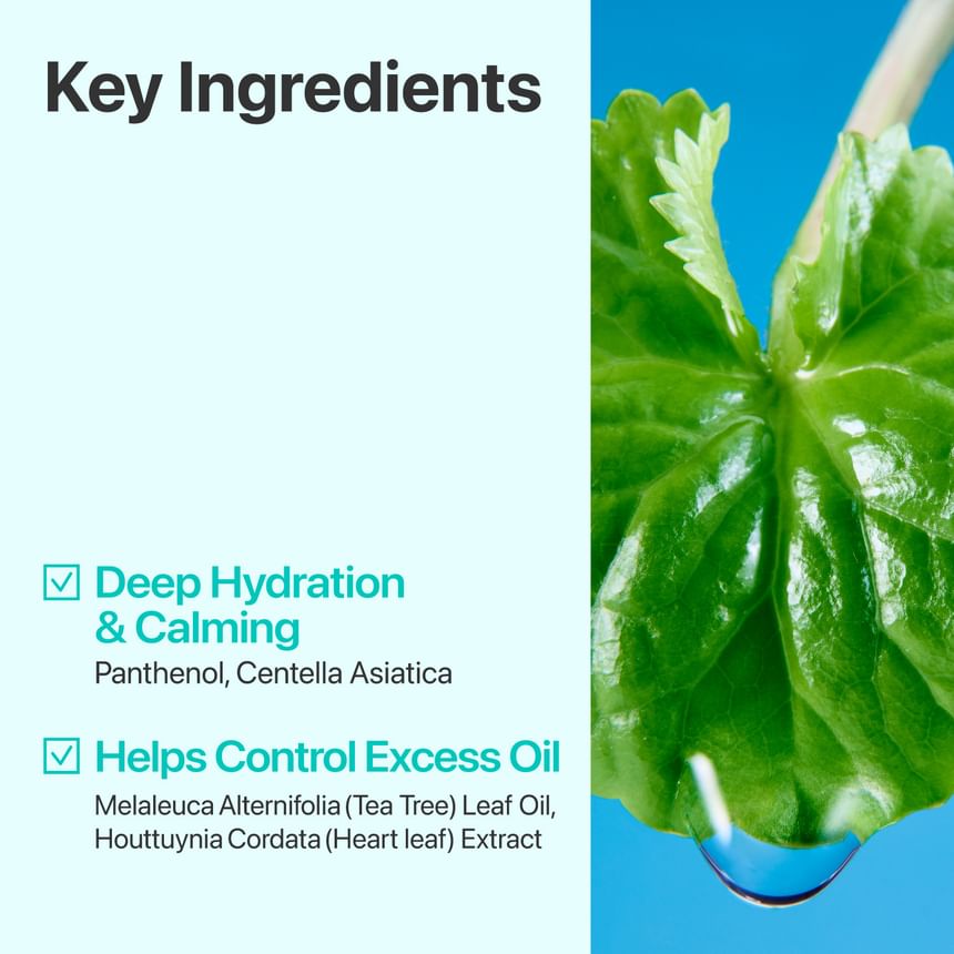 Numbuzin - No.1 Centella Re-leaf Green Toner Pad [190ml, 70 pads]