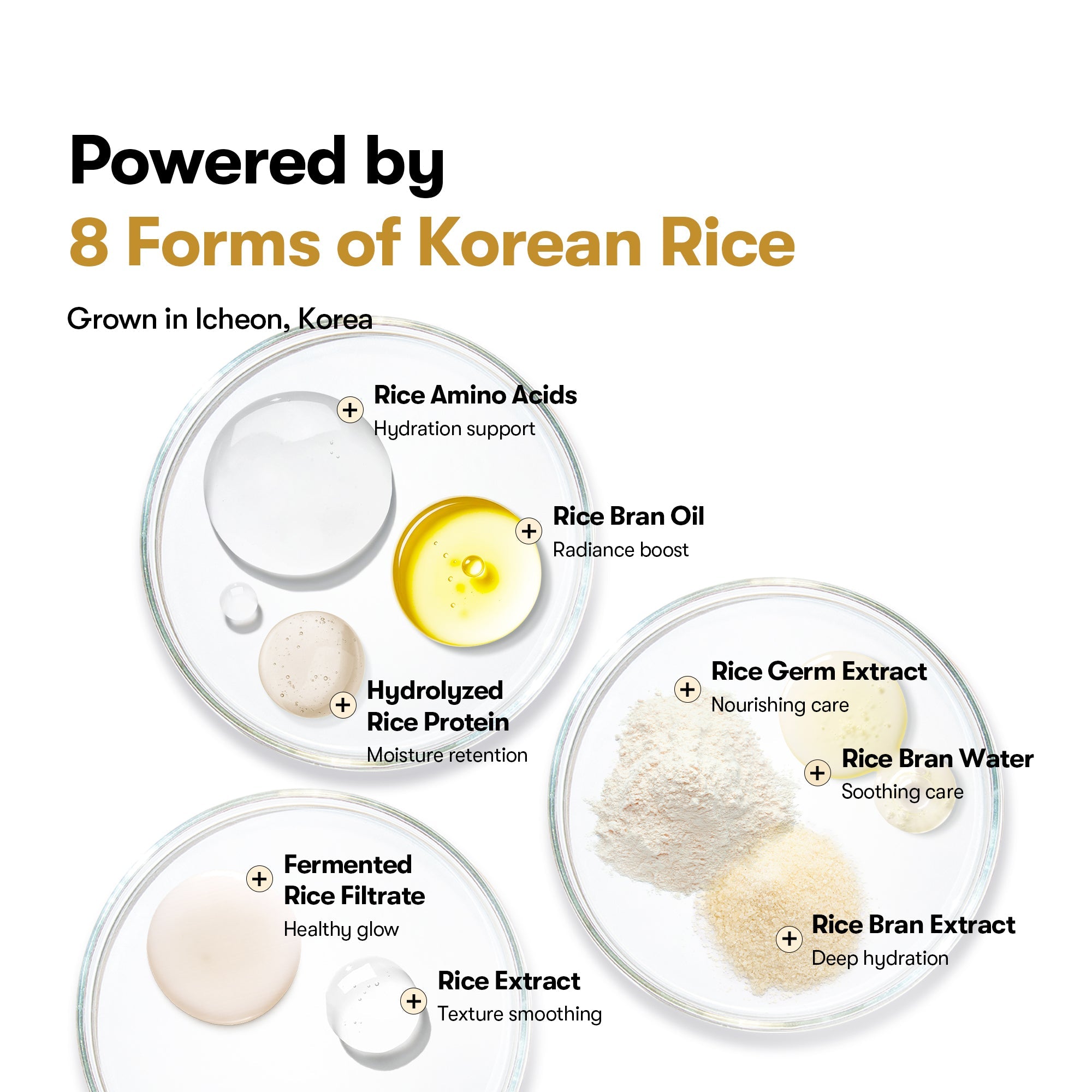 VT - Rice Ceramide Serum [30g]