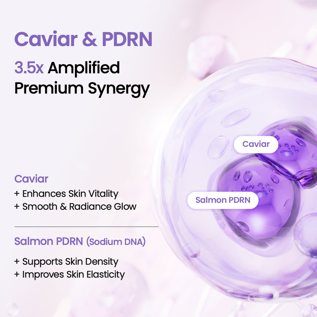Biodance - Caviar PDRN Dual Gel Toner Pads [60 sheets]